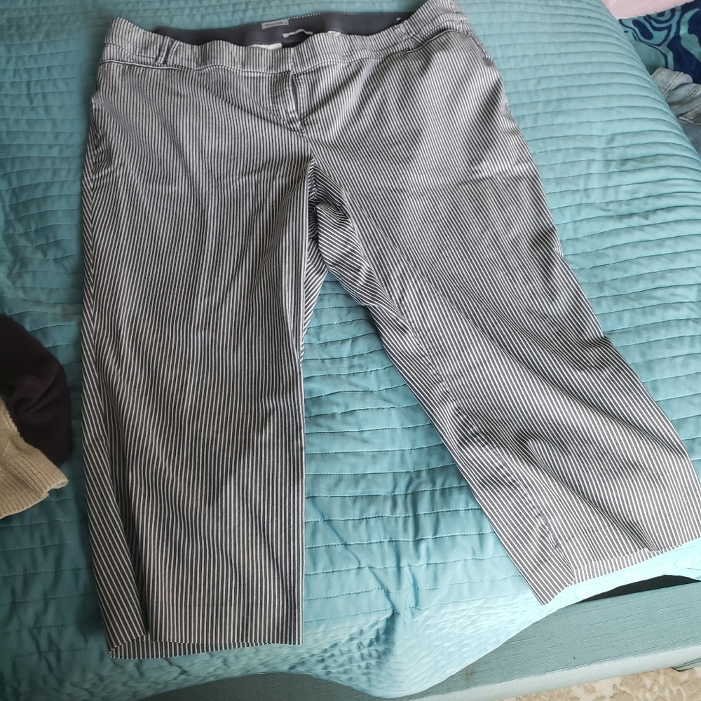 Pin stripe Capri pants